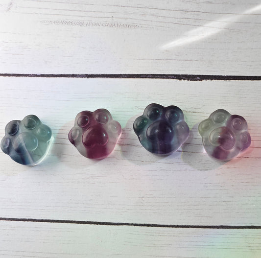 Mini Fluorite Paw Print