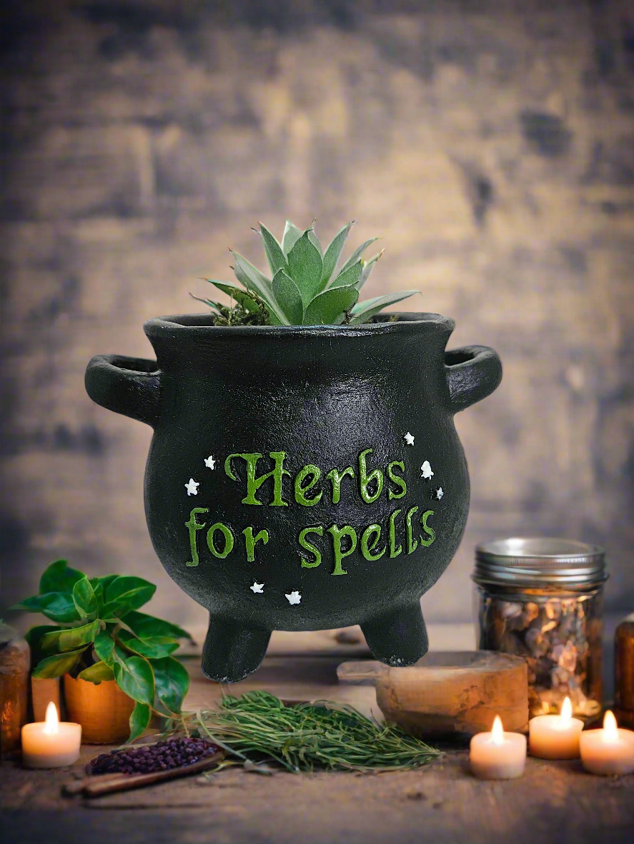 Cauldron Plant Pot