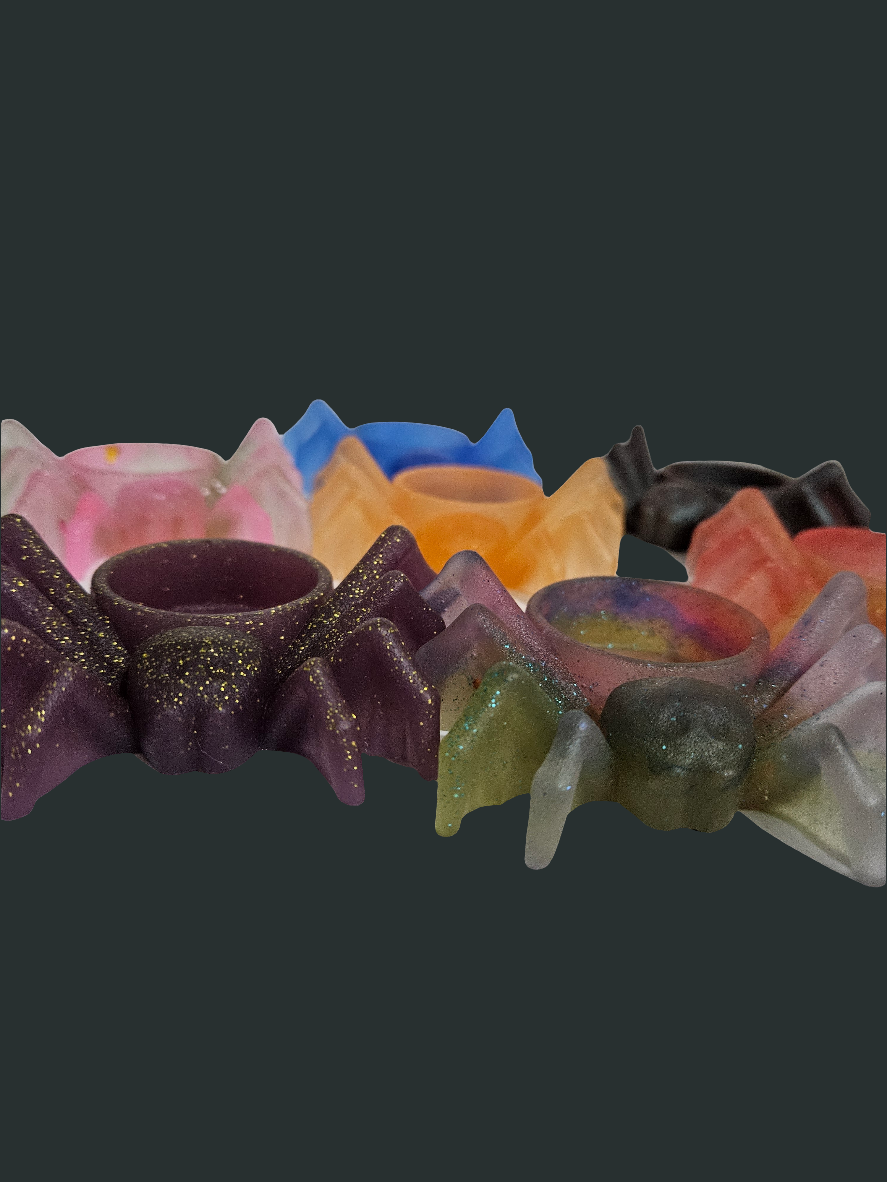 Mystery Spider trinket holder