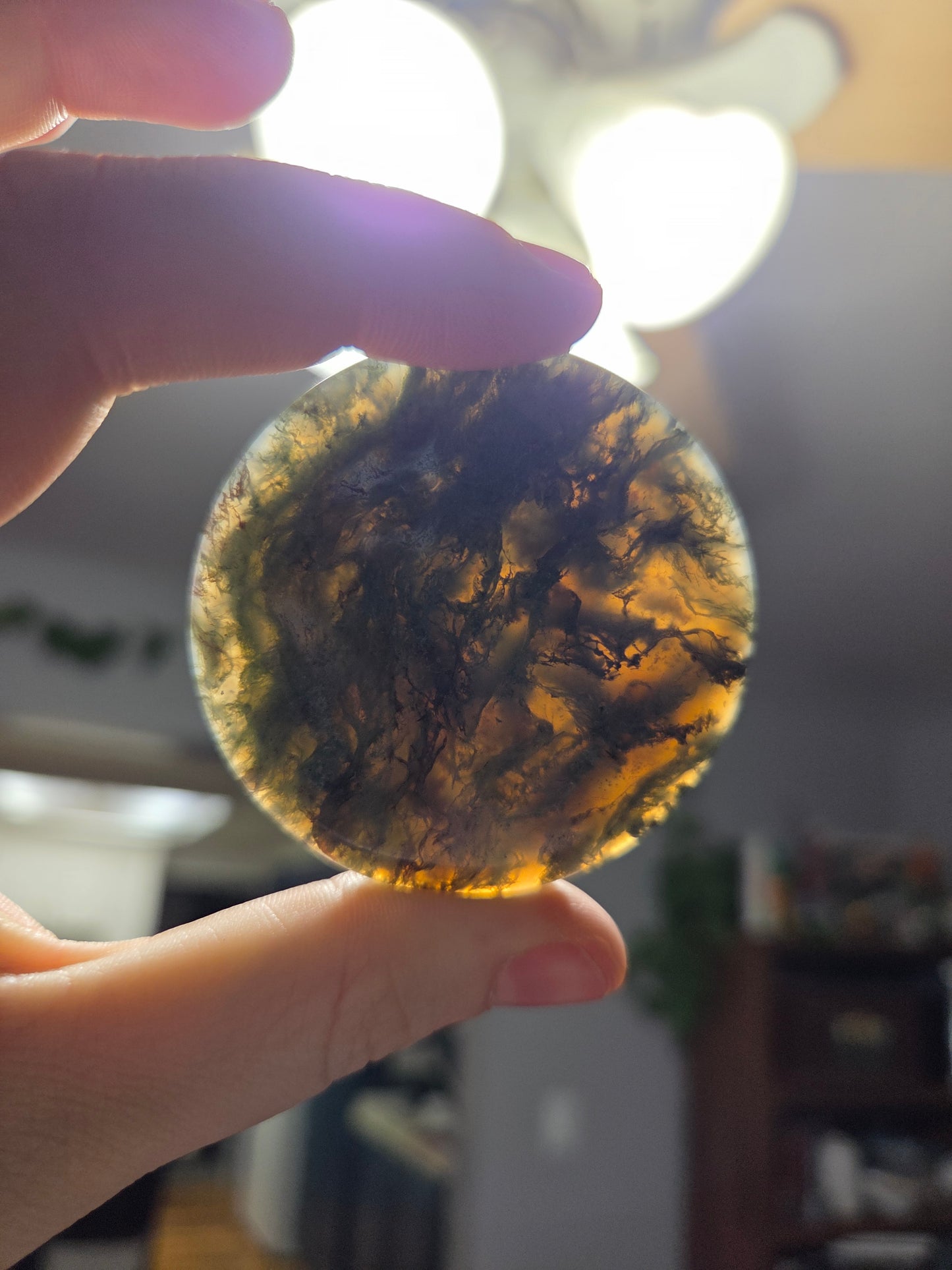 Bin of Moss agate discs